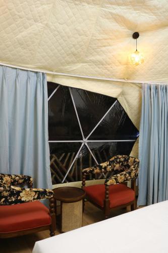 the zukhara a luxury glamping dome resort in narkanda