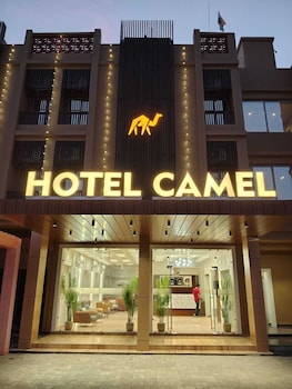 hotel camel managed by clay