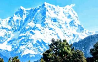 hotel himalayan dews ukhimath uttarakhand