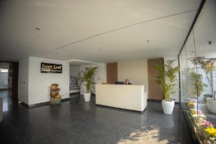 hotel ivory leaf stays