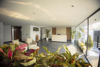 hotel ivory leaf stays