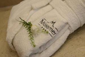 sankt anton am arlberg