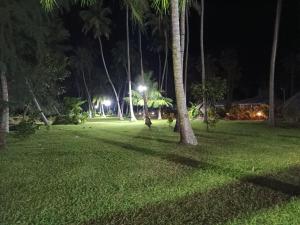 tasvir lagoon retreat