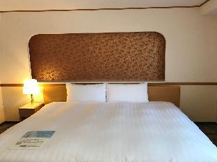 toyoko inn tokyo asakusa kuramae no 1