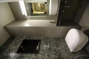 hotel d silver leaf lucknow uttar pradesh