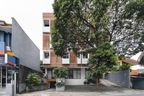 cove casa dyna