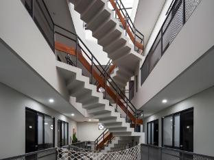 cove casa dyna