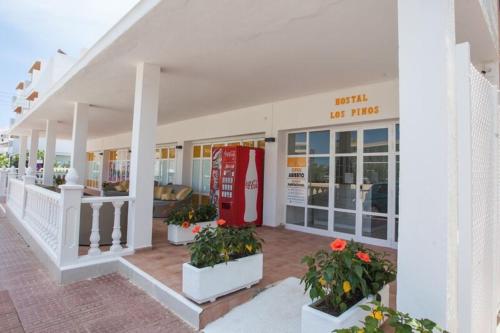 hostal los pinos