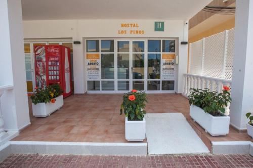 hostal los pinos