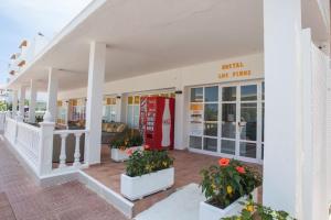 hostal los pinos