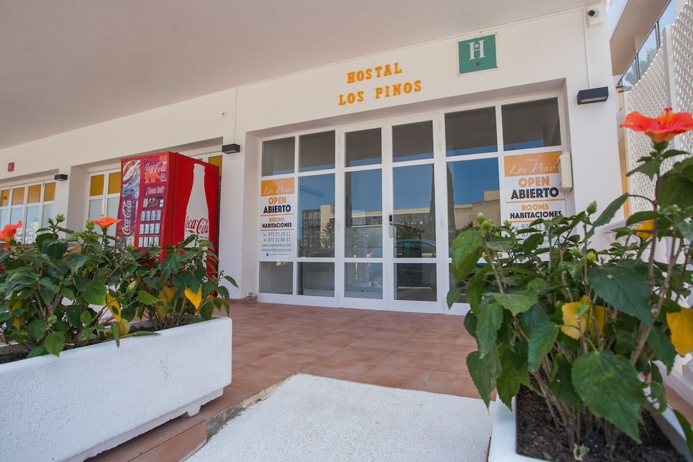 hostal los pinos