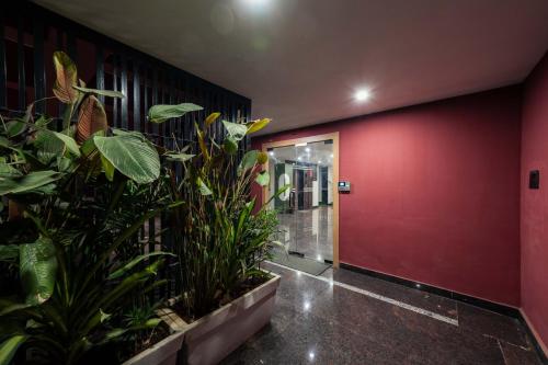 c suites gilbert