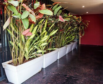 c suites gilbert