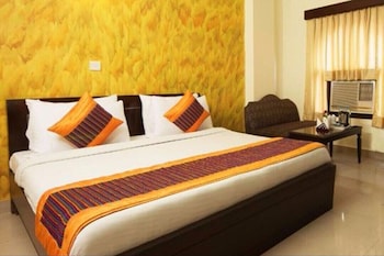 hotel delhi darbar near karolbagh metro