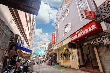 hotel delhi darbar near karolbagh metro