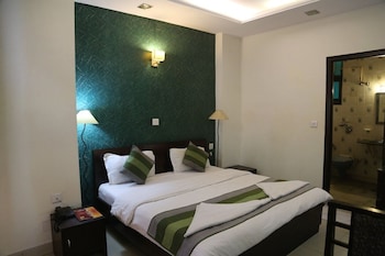 hotel delhi darbar near karolbagh metro