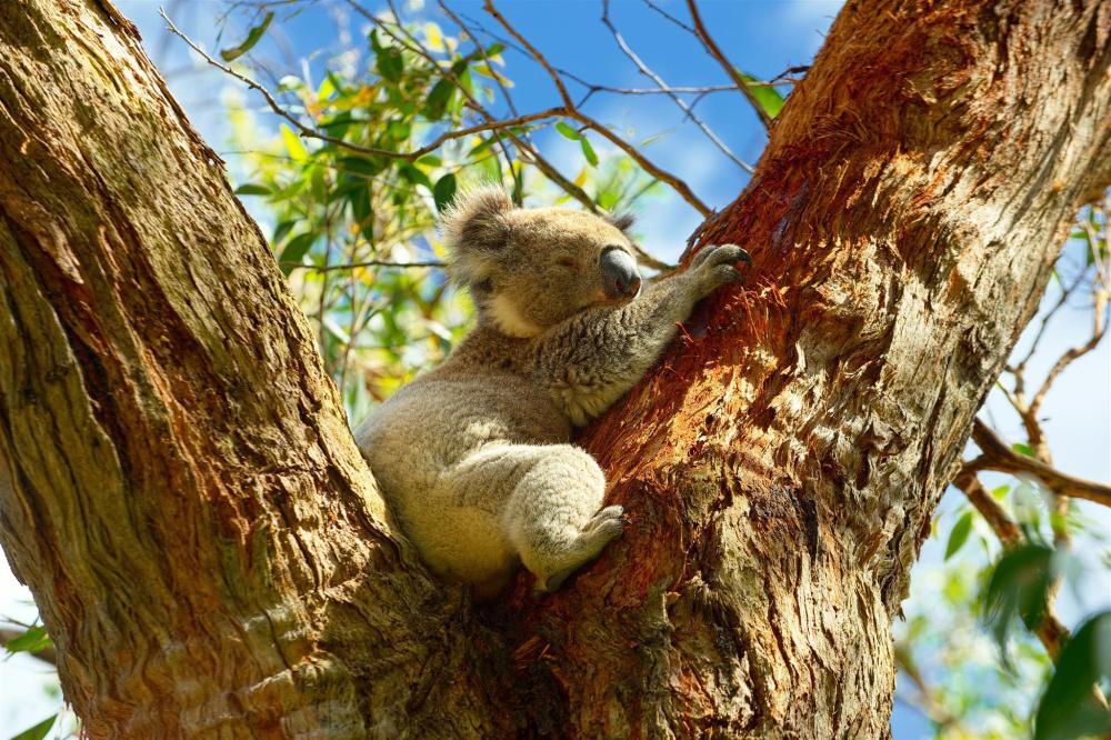 lodestar waterside apartments