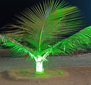 shravani farms