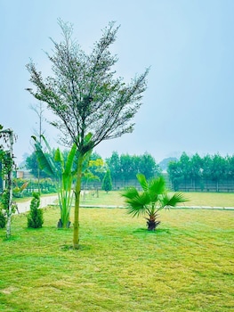 countryside heaven farm