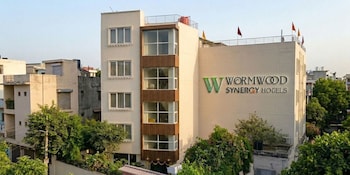 wormwood synergy varanasi