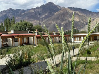 the walnut inn resort