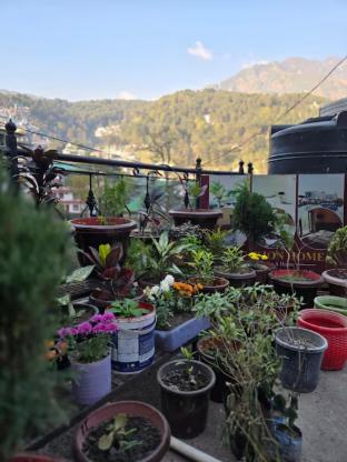 hotel vacation home mcleod ganj dharamshala