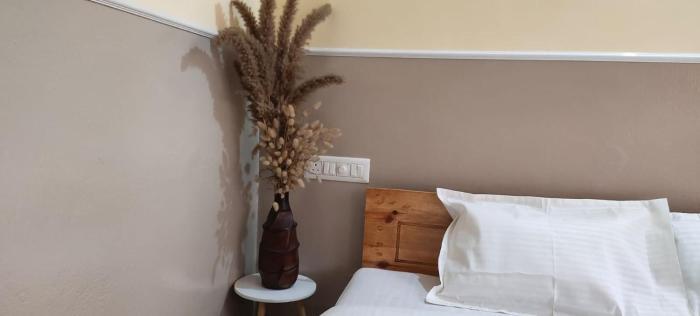 beltola lodge a serene homestay