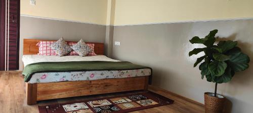 beltola lodge a serene homestay