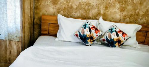 beltola lodge a serene homestay