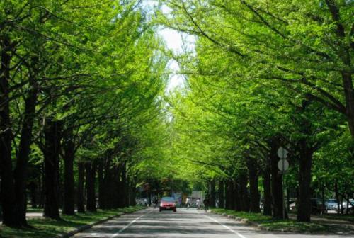 sapporo
