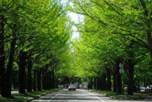 sapporo