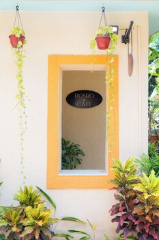 victor exotica an indy resort