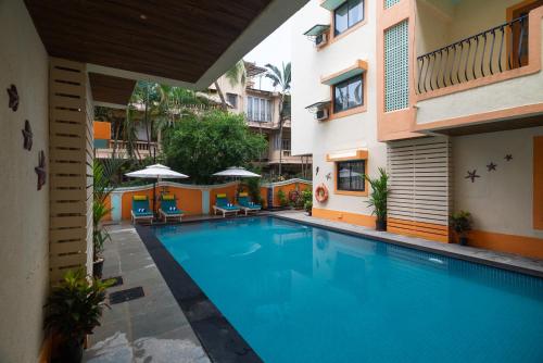victor exotica an indy resort