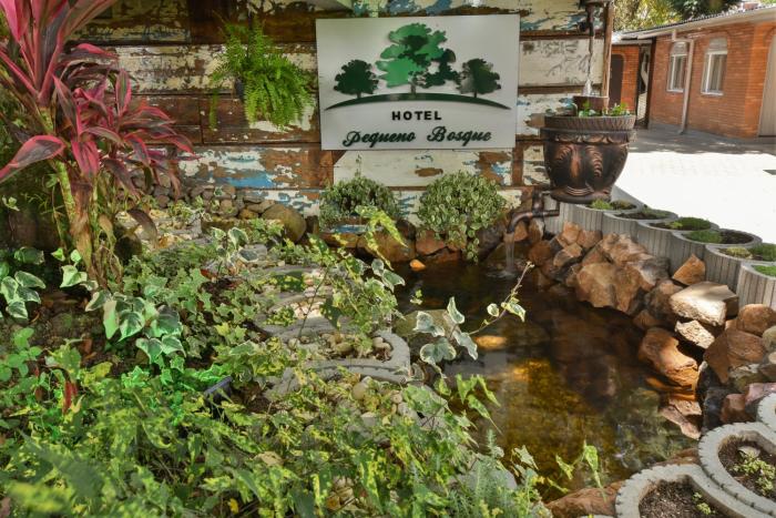 hotel pequeno bosque