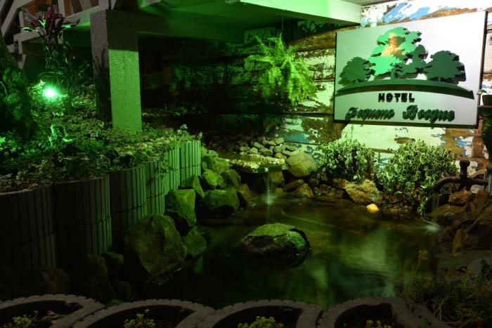 hotel pequeno bosque