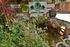 hotel pequeno bosque