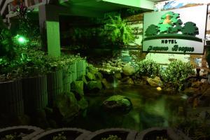 hotel pequeno bosque