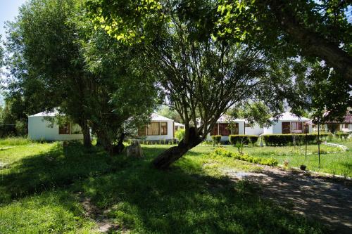 semba retreat