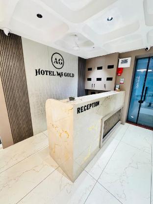 hotel ms gold gandhinagar