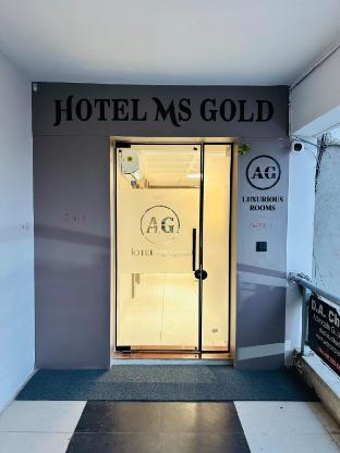 hotel ms gold gandhinagar