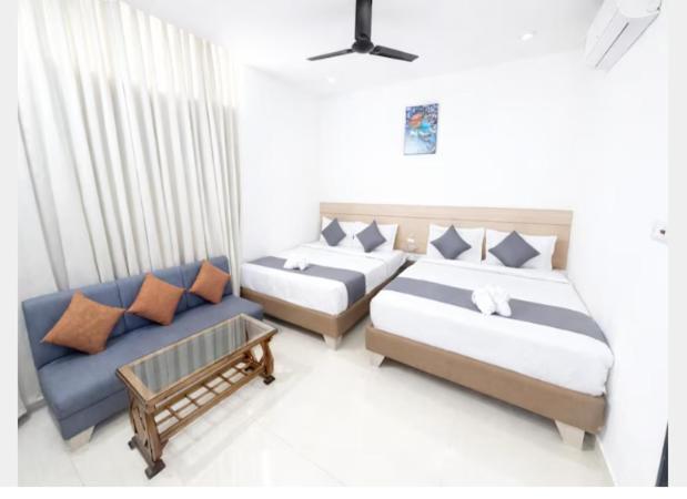 mm resort and hotels bhilai