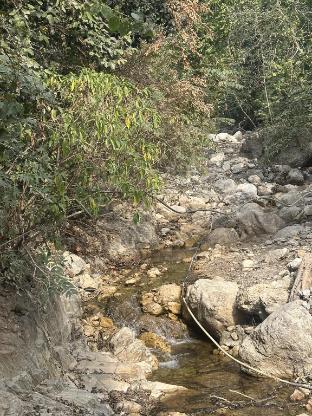 hotel rishikesh paradise peace calm comfort