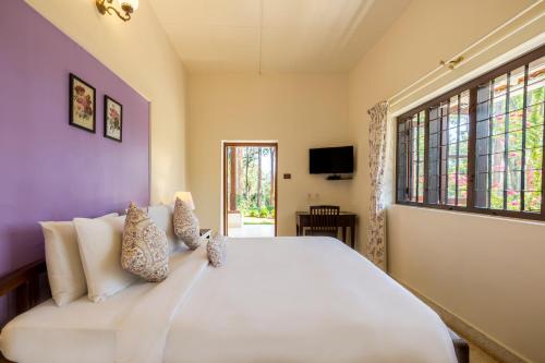 ama stays and trails woshully bungalow coorg
