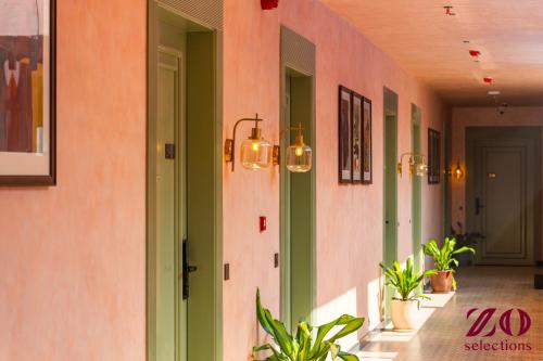 zo selections jaipur by zostel