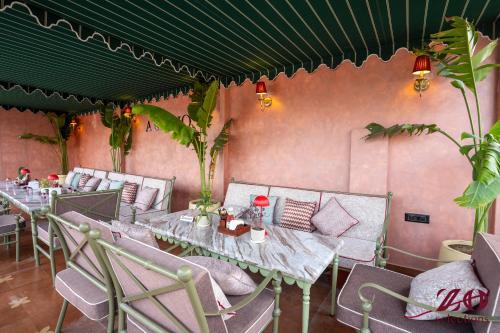 zo selections jaipur by zostel