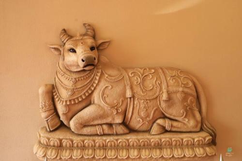 nandi heritage pusad