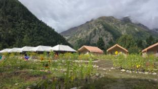 ibex camps