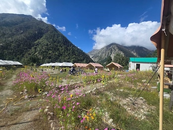 ibex camps