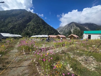 ibex camps