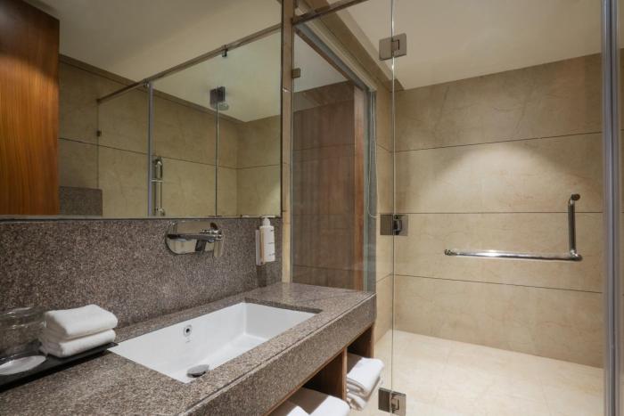 radisson resort and spa sasan gir